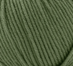 13278 - Verde pino