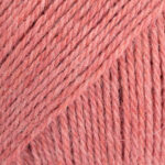 24 - Rosa fragola