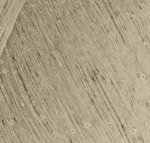 8600 - Beige/oro
