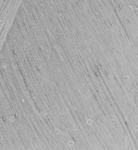 8603 - Grigio