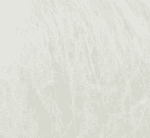 6027 - Bianco