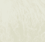 6028 - Naturale