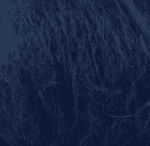 6035 - Blu scuro