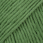 43 - Foresta verde